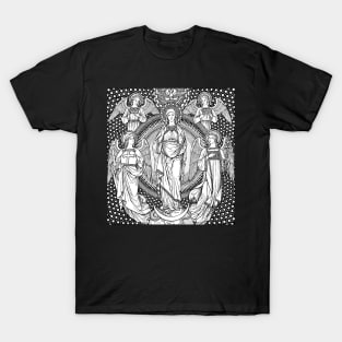 Mary, the Immaculate Conception T-Shirt